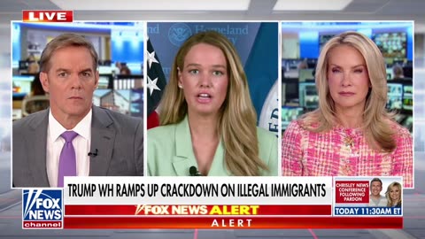 ICE arrests illegal migrants in an exclusive