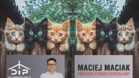 Maciej Maciak wyjaśnia kalumnie Bielaka vel. Caleiba