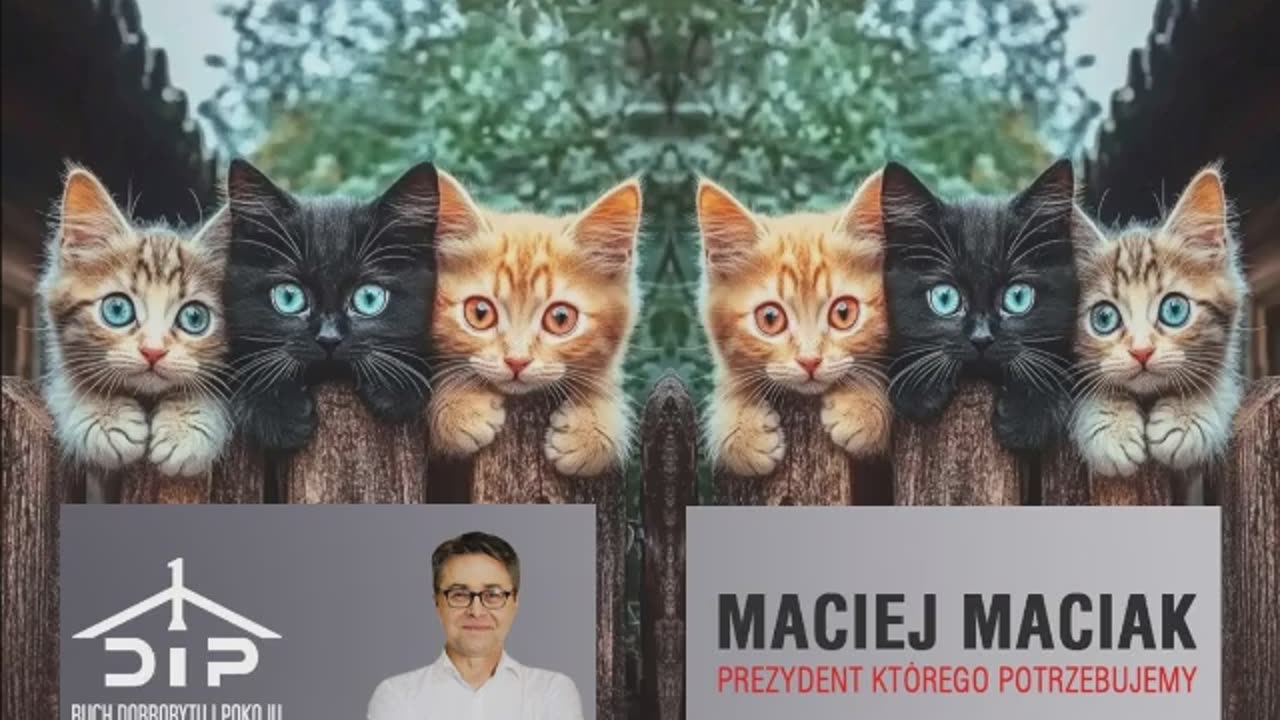 Maciej Maciak wyjaśnia kalumnie Bielaka vel. Caleiba
