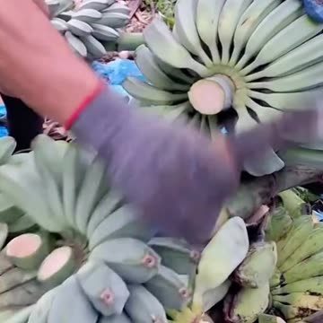 Zindagi status | 2 line poetry | True lines status | जिंदगी खत्म हो जाती |