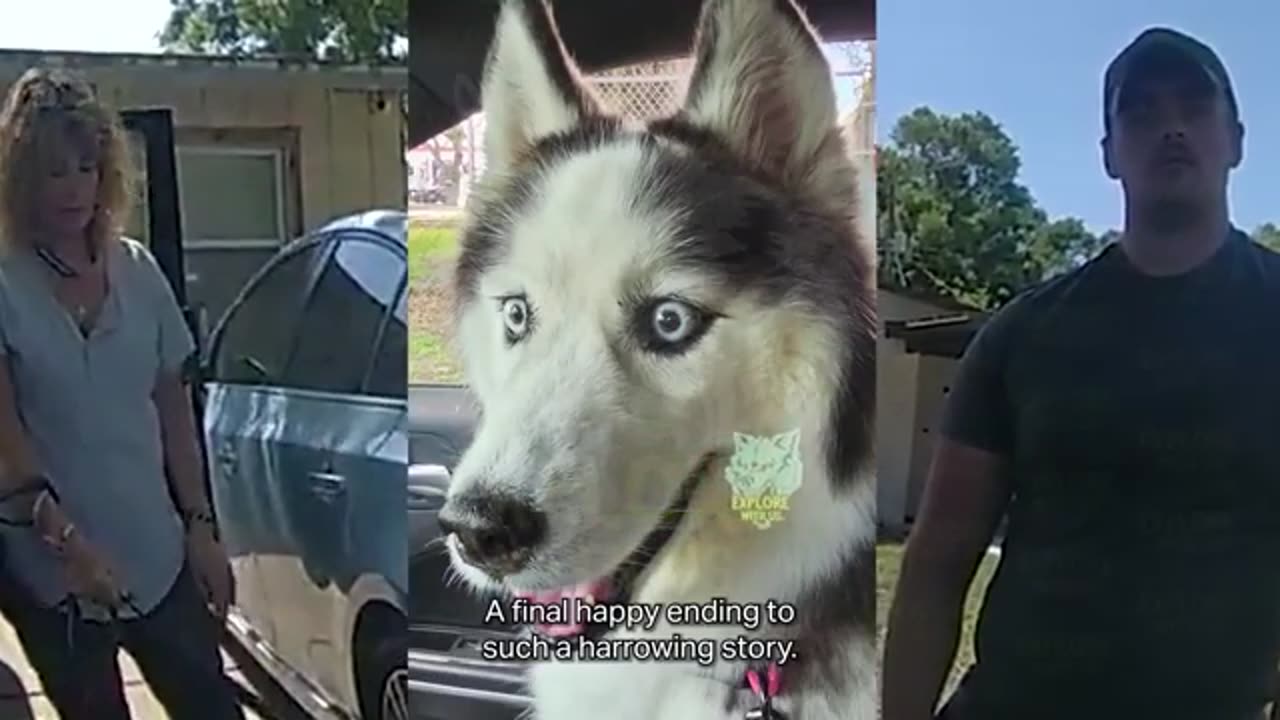 Man Discovers His Girlfriend's Sick Crime