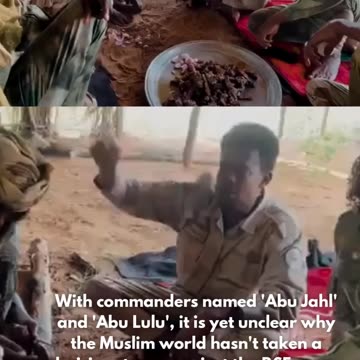 RSF Abu Lulu Takes Pride in 900 Citizens Killed in Darfur