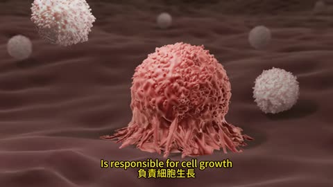 抗癌新策 多價抗體 激活免疫