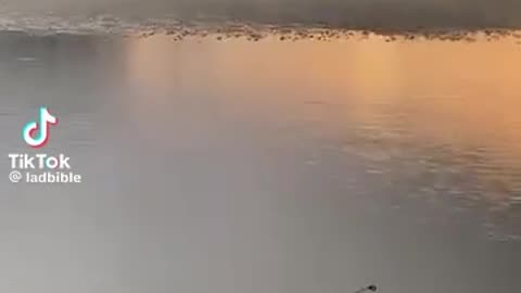 🤔💡 Is This the Most Relatable Moment Ever? | FunFM