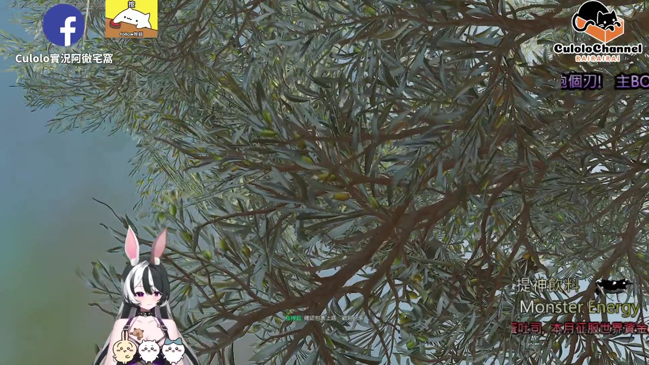 🌱vs🧟‍♀️ New version⭐新手向⭐🥺倉鼠系玩家🥺| 來聊天R ✨💎(๑˃̵ᴗ˂̵)و Culolo Channel(๑˃̵ᴗ˂̵)و 5 Taiwan優質台💎✨