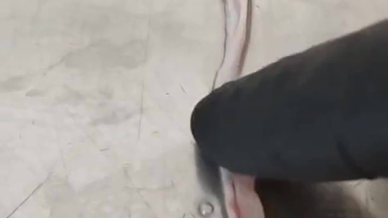 A video made by an Irish embalmer in June. It makes the blood clots hit home.