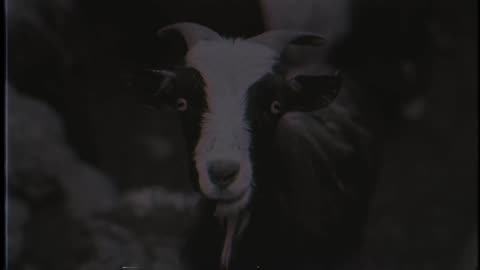 Volbeat - In the Barn of the Goat Giving Birth to Satan’s Spawn in a Dying World of Doom