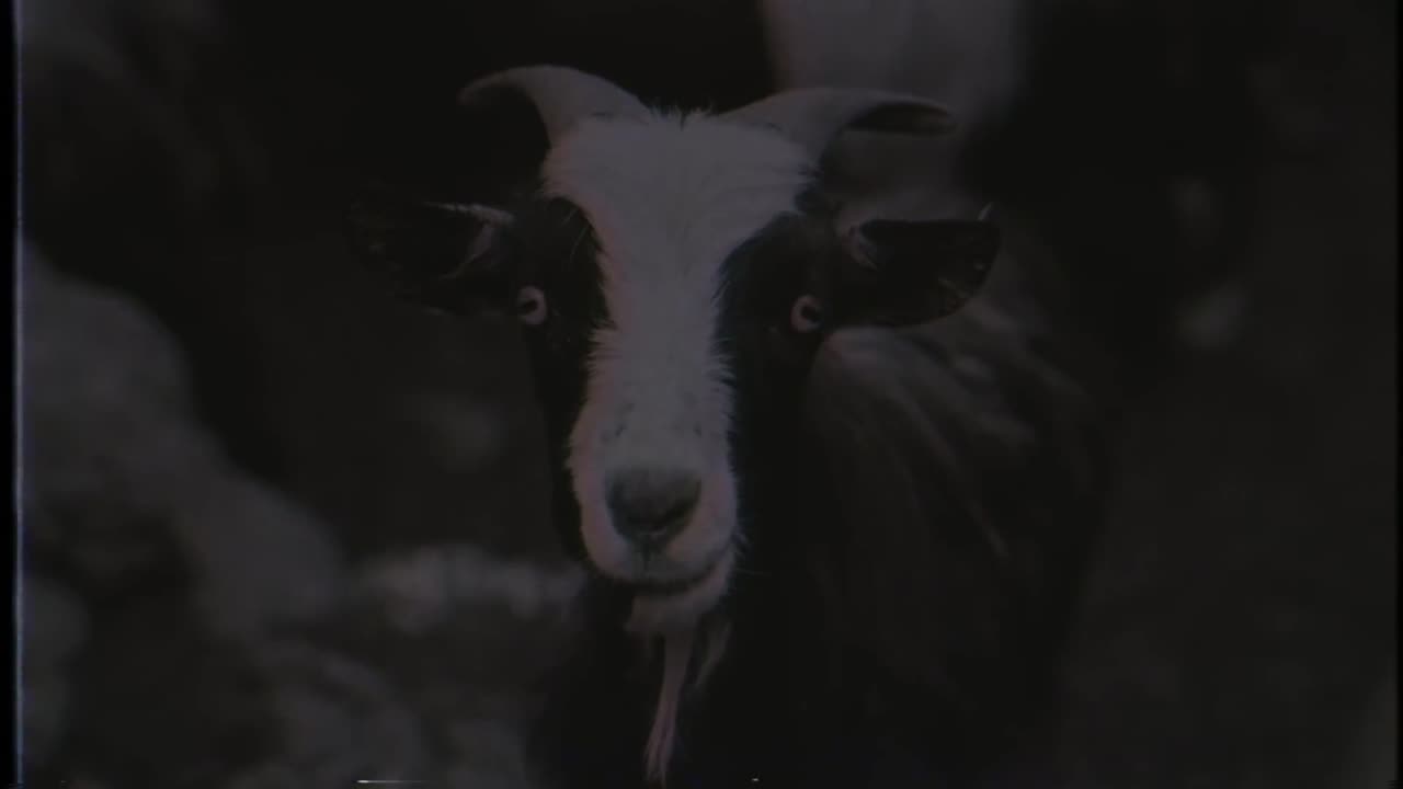 Volbeat - In the Barn of the Goat Giving Birth to Satan’s Spawn in a Dying World of Doom