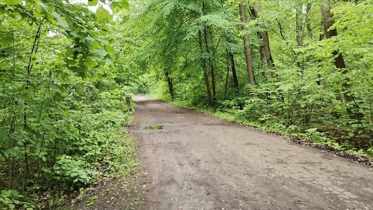 zauważanie drogą do serca ...