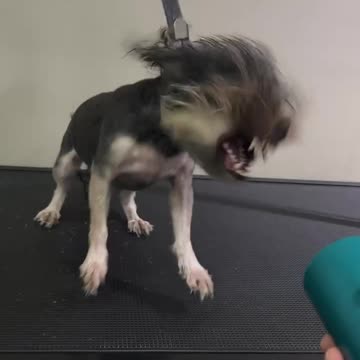 "If laziness was a subject, I’d have a PhD."