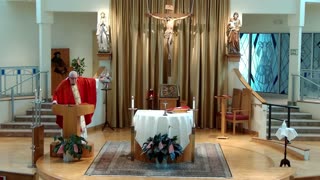 Homily for the Feast of the Exultation of the Holy Cross