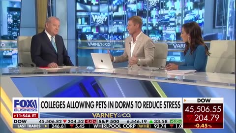 GEN Z UNDER FIRE: Supervisors claim they want recognition for simple work