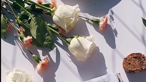 Daily Horoscope | Pisces 🌟