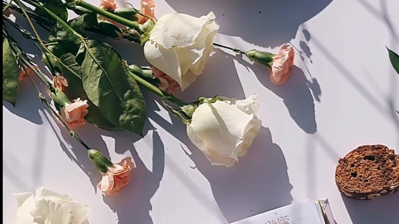 Daily Horoscope | Pisces 🌟