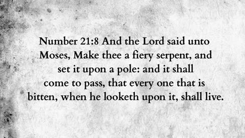 Martus Ministry -298- Fiery serpent