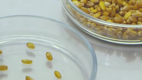 Food Allergy Test Results: Eggs, Yeast & Gut Health #shorts