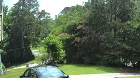 Flash Lawn Maintenance