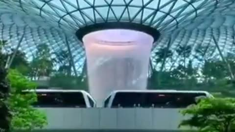 🤯✨ Discover Singapore's Changi Airport Like Never Before! | FeedMyCuriosity