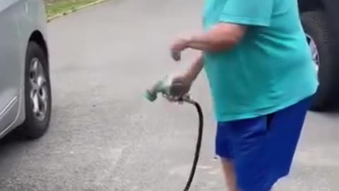 Funny Compilation of the Day – Volume 2 | Daily Laughs & Epic Fails
