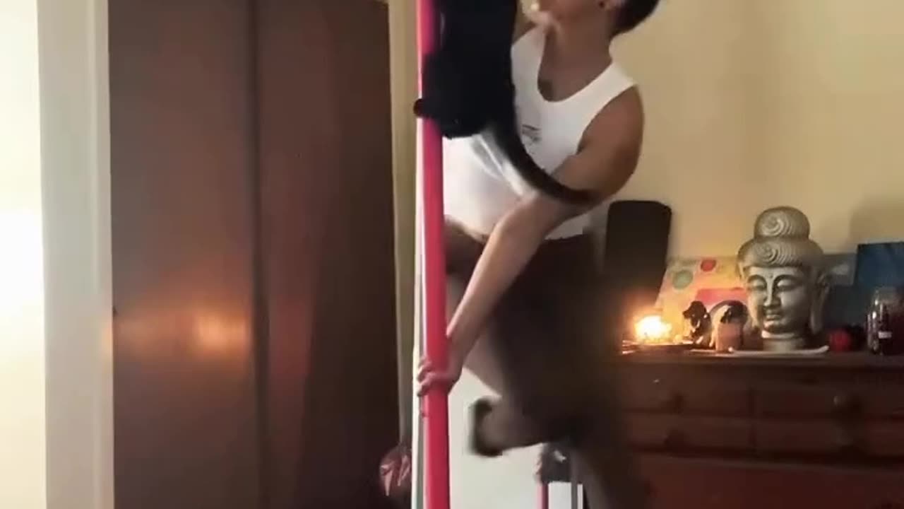When the Girl and Her Cat Pole Dance Together – The Internet Can’t Handle This Duo
