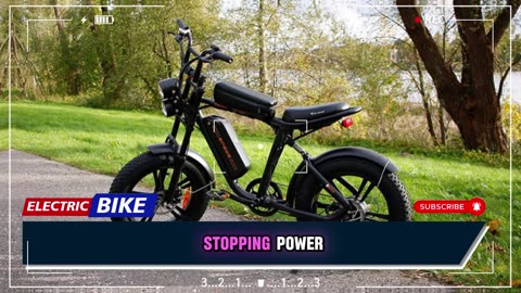 ENGWE M20 Electric Bike 750W Powerful Motor 48V13AH Dual Battery Electric Bicycle