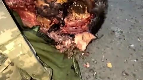 Ukraine war combat footage 11/9/25