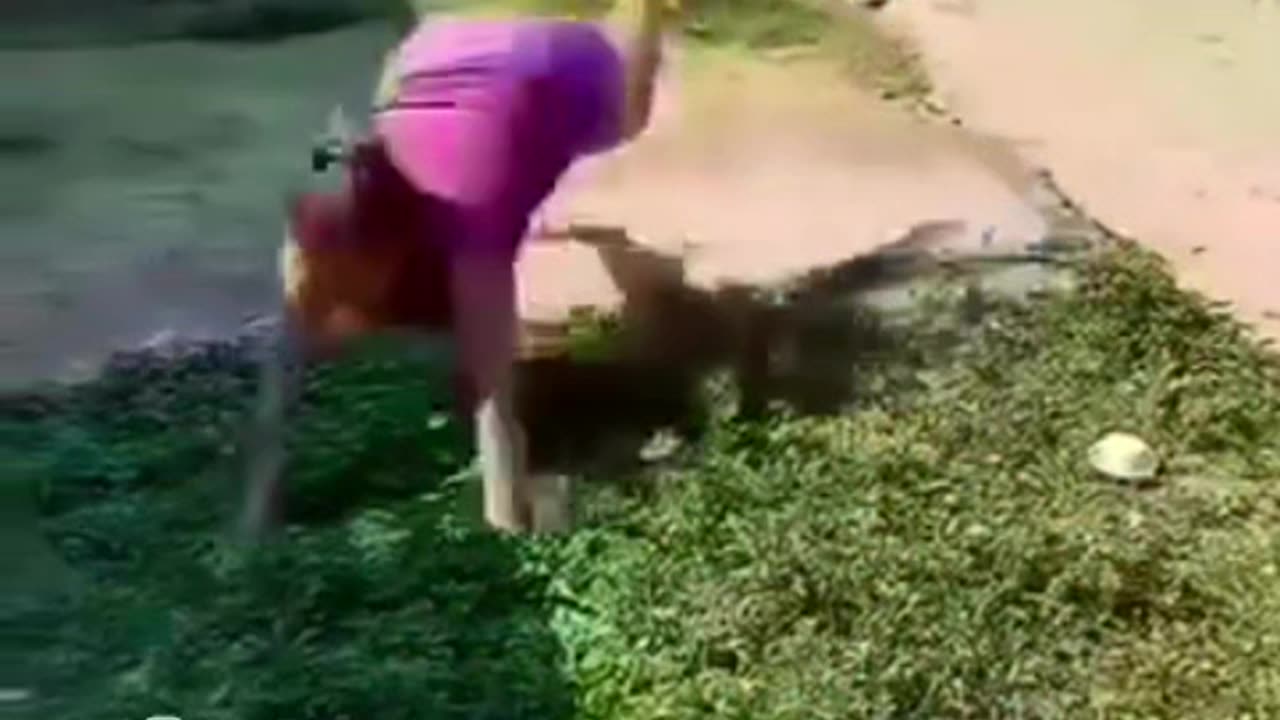 Epic fails Part 1 😂