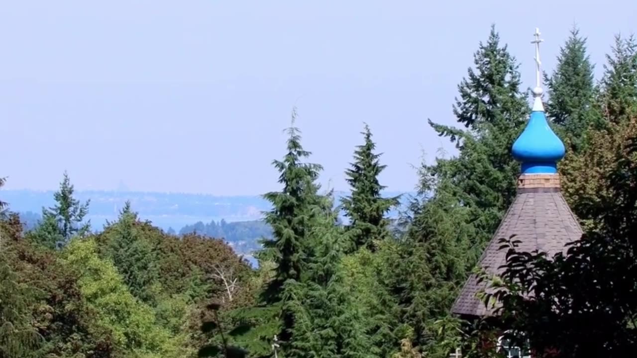 A Prison Camp Like Paradise