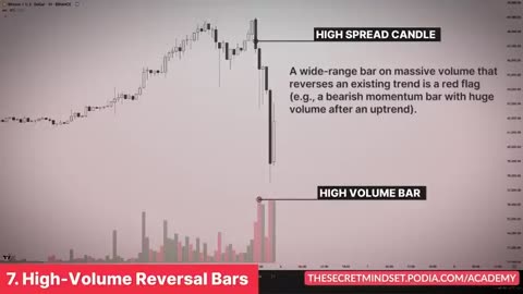 I Wasted $5,000 on Trading Education, Only This Price Action Trading Course Delivered Part 8