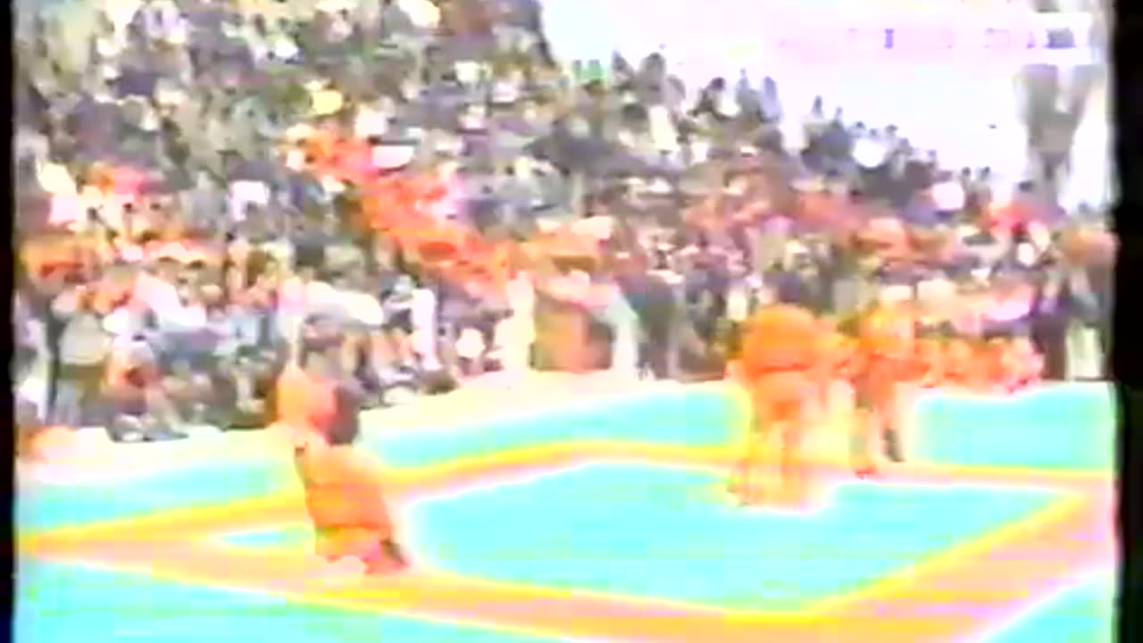 Hapkido