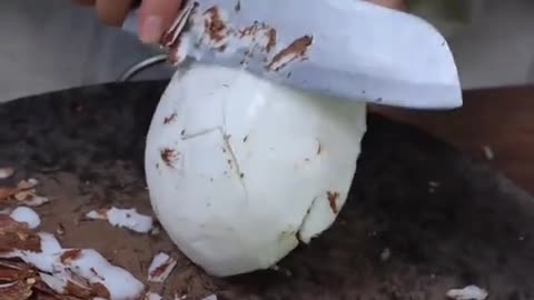 Making Mixed Coconut Soup