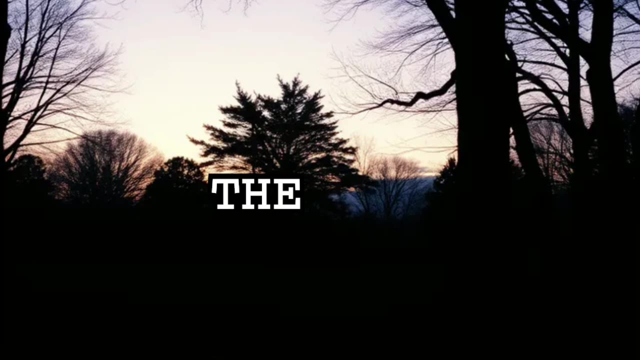 Terrifying American Superstitions Don't Whistle in the Woods!