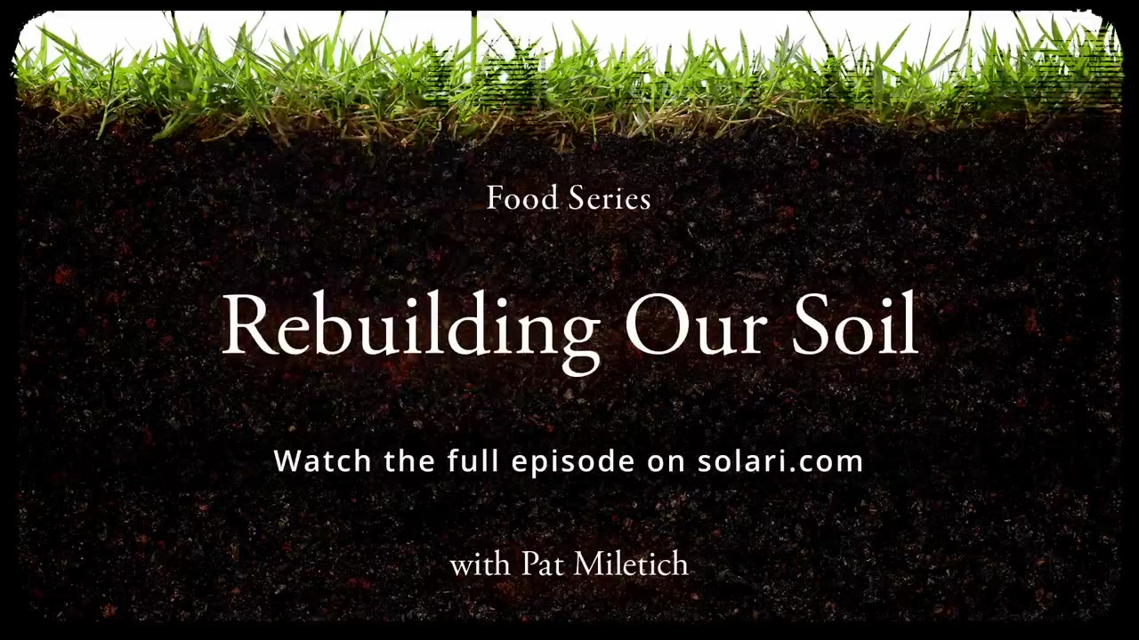 Whether It’s Soil, Plants, Animals, or Humans, We Are All Getting Poisoned by the Same Thing