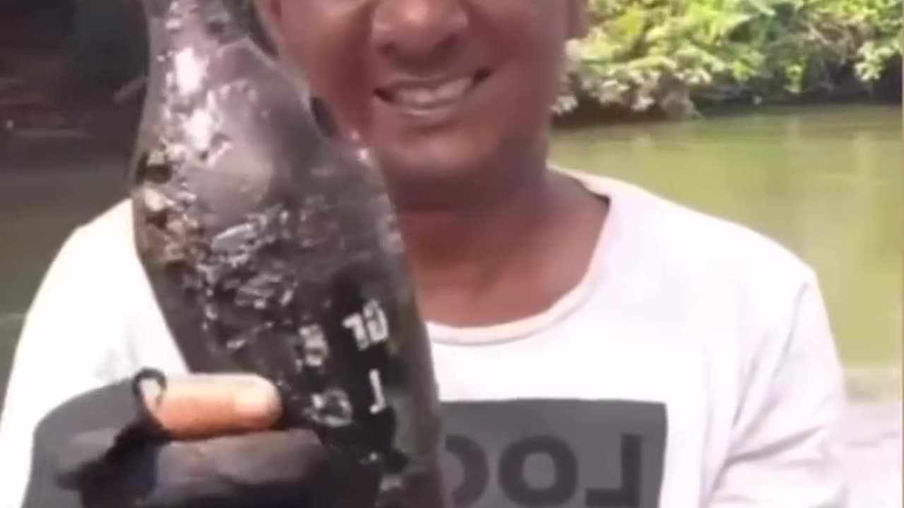 Olha o que esse homem encontrou.