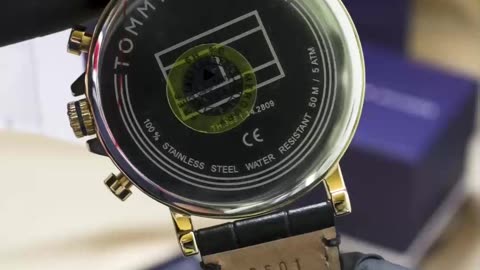 Tommy Hilfiger Men's Watch 1710417