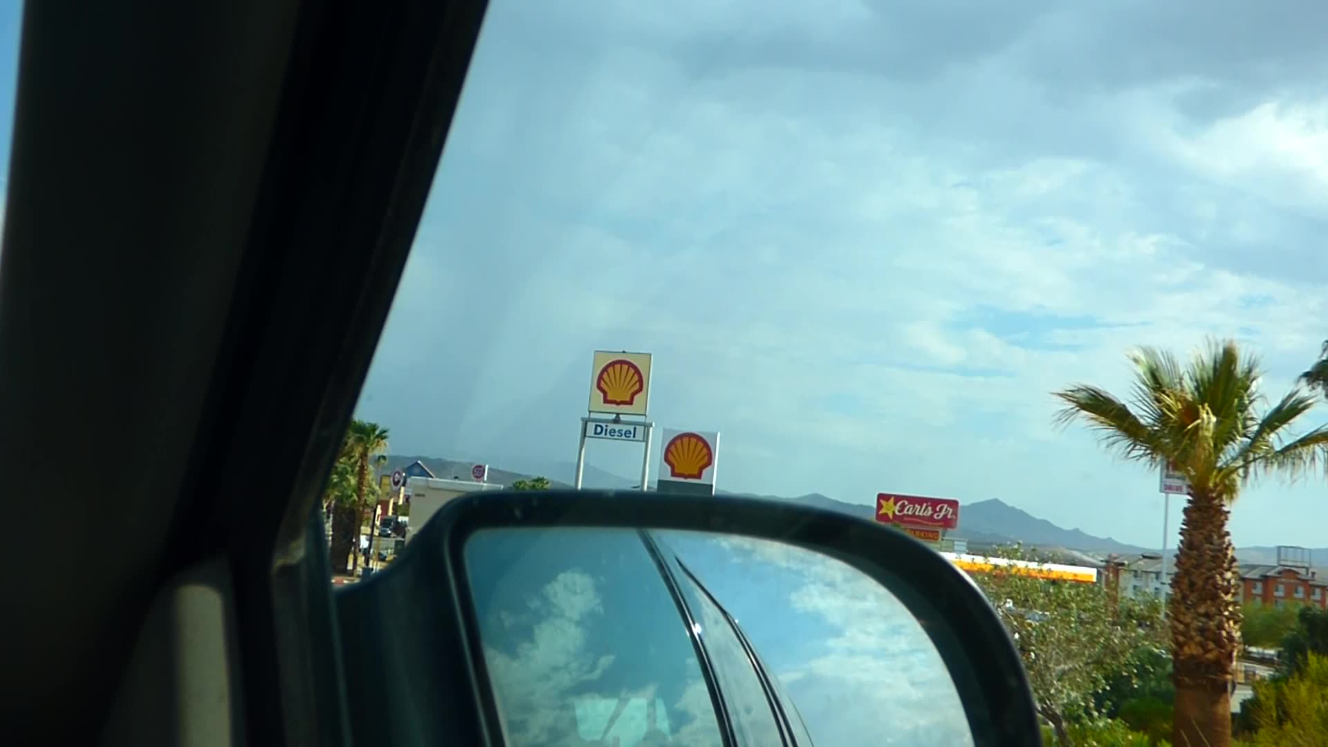 Palm trees alongside shell gas station