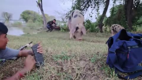 🔥🛡️ Myanmar War | Guerrilla Firefights Against Junta in Magway | RCF
