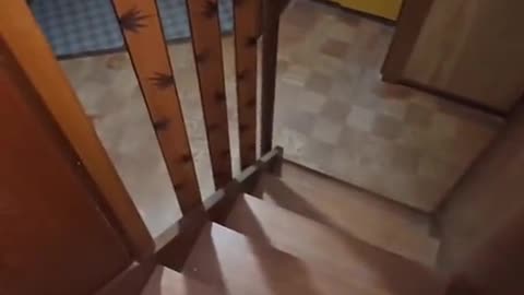 🤔💥 What is He Hitting? | TheHauntingHour