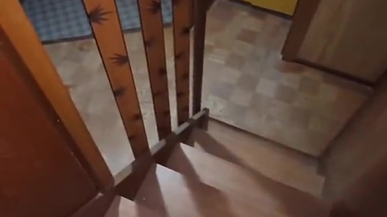 🤔💥 What is He Hitting? | TheHauntingHour