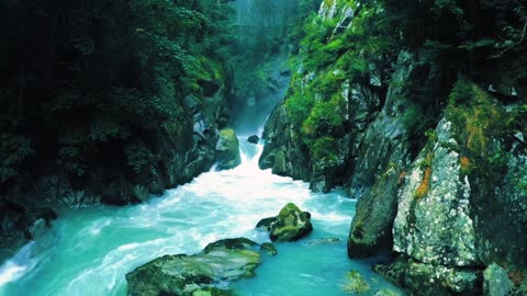 Beautiful Waterfalls Free Video| 4K