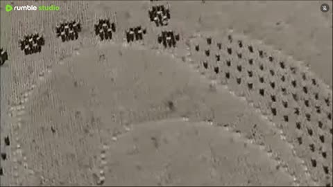 Just a live stream