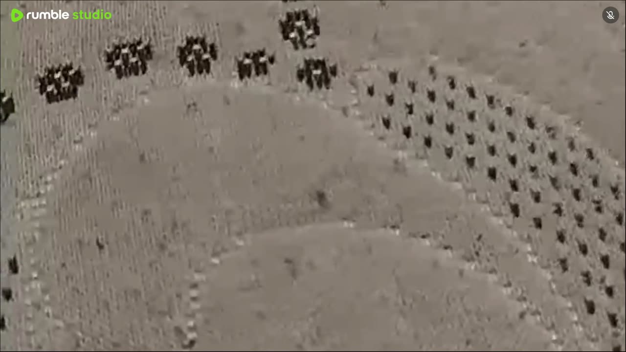 Just a live stream