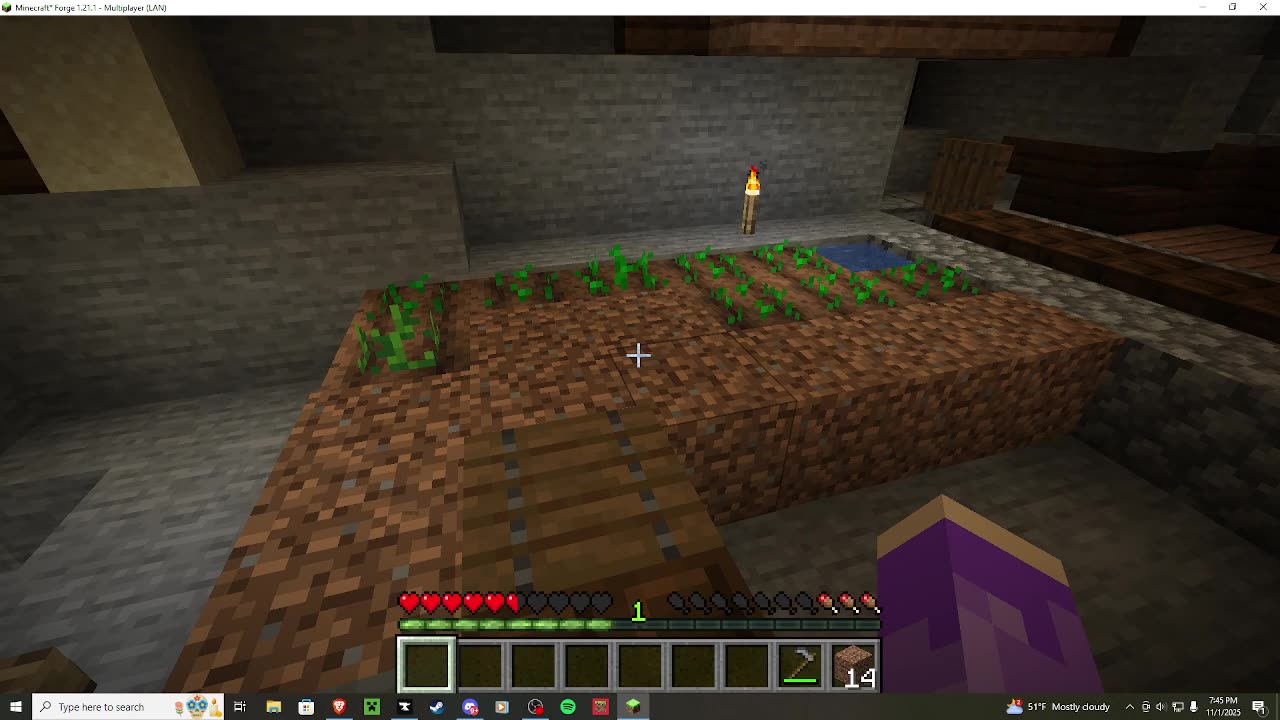 Impossible Minecraft