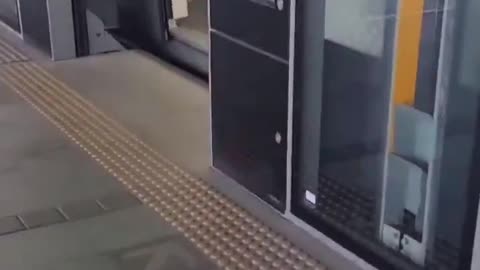 Japan Earthquake