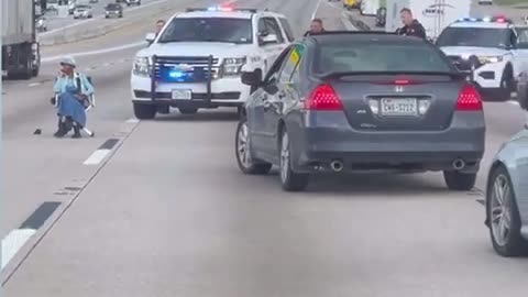 Old lady hits 18 wheeler then sits in the middle of the highway with a gun - Houston, TX