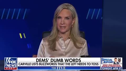 Dana Perino on Carville urging Dems to use less buzzwords