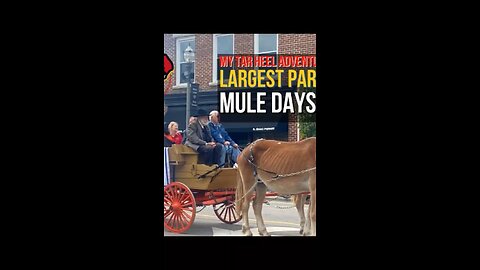 going live in Benson NC mule Day car show parade & rodeo