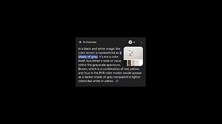 How Sunlight views racism