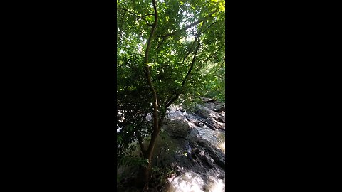 I found a hidden beautiful place