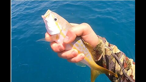 Reef Fishing Florida Keys 2022